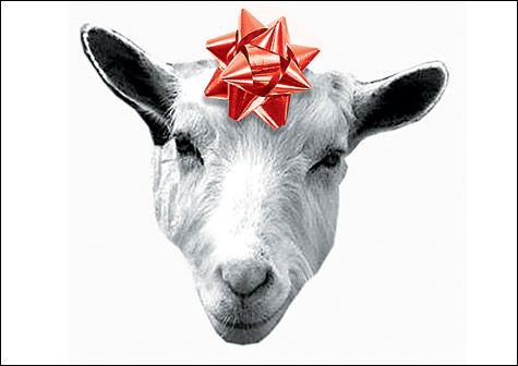 071207_goat_main